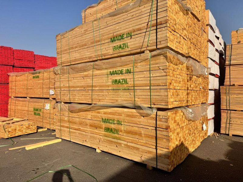 Brazil whitewood pine2